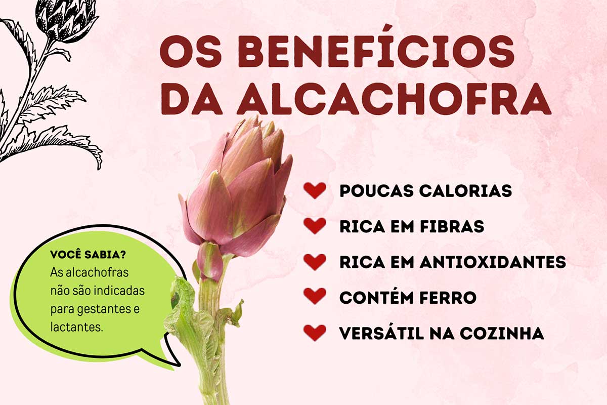 Alcachofra: a hortaliça do coração - Gastronomia Carioca