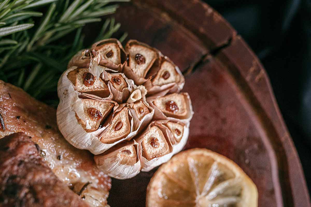 É hoje: estreia do Seu Tempero, novo programa culinário 