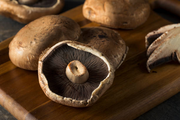 Os benefícios do cogumelo na culinária 