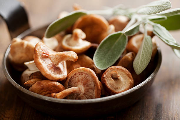 Cogumelo shiitake desidratado e laminado